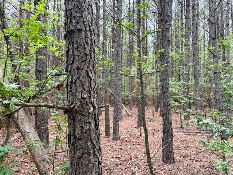 DB27590E-FE1F-46B9-B2B0-4AEBC5A96F0A_1_105_c