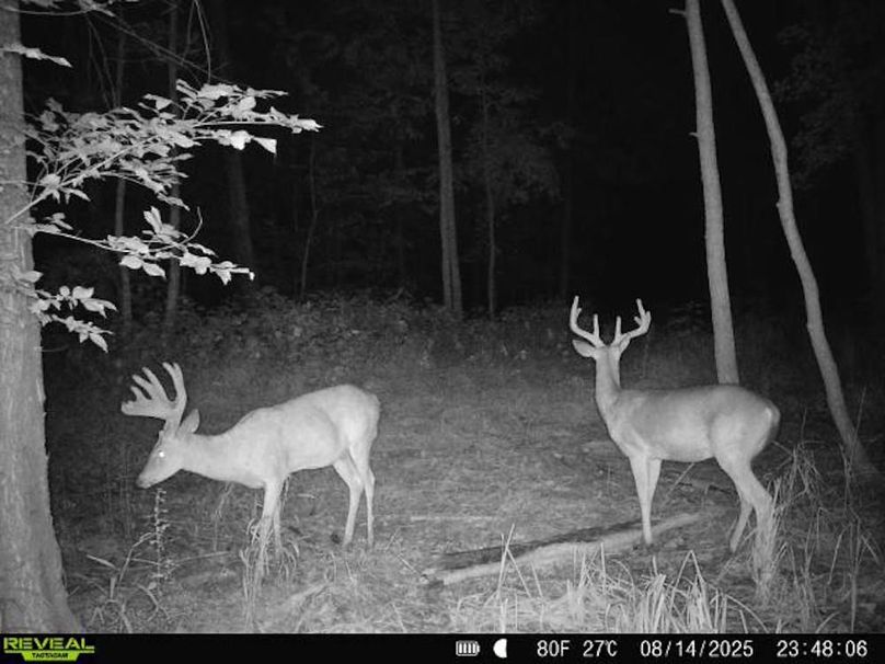 860516068101389-100-3-08142025234806-V-W1000393