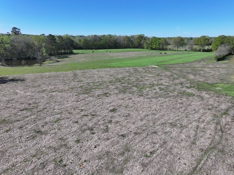 dji_fly_20260317_084922_0374_1773768887798_photo