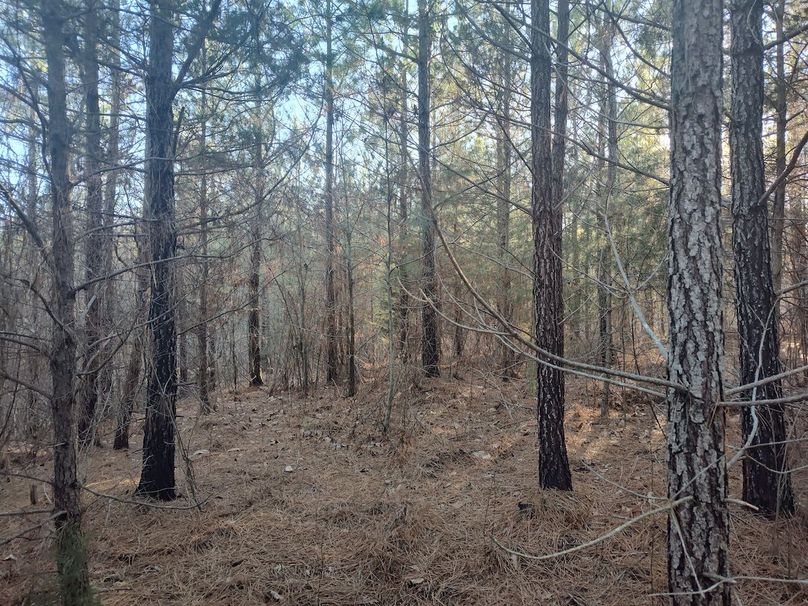 IMG_20240302_165843289_HDR