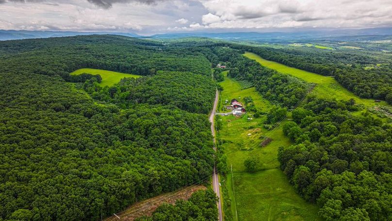 Bedford,121,Beegle-43