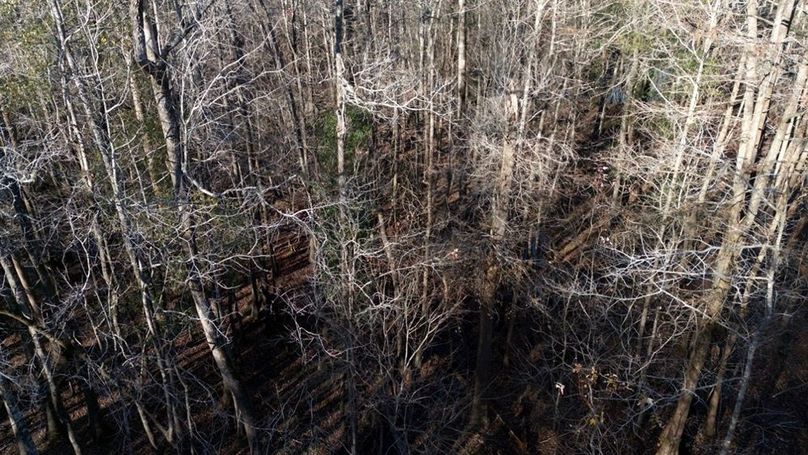 DJI_20251209145016_0010_D