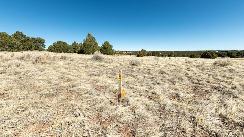 023 - Property Boundary