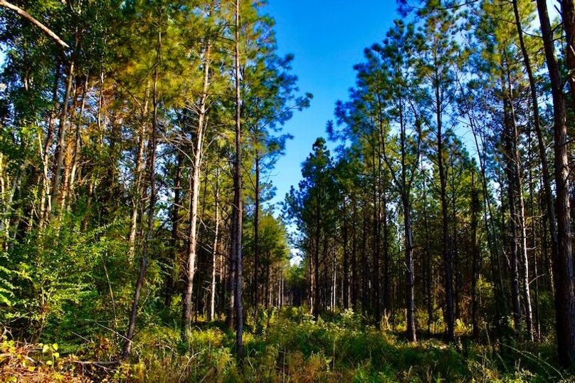 6E725C71-01DE-47B9-A737-2D46EE3A51AA_1_105_c