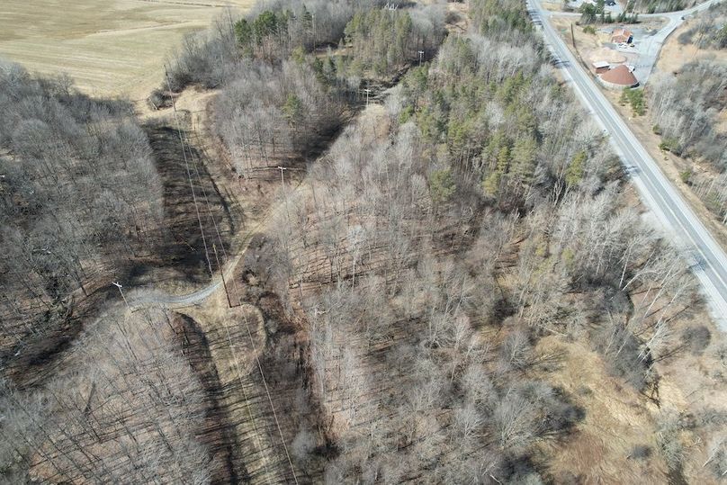 Lewis_26_Somberg Photo 37