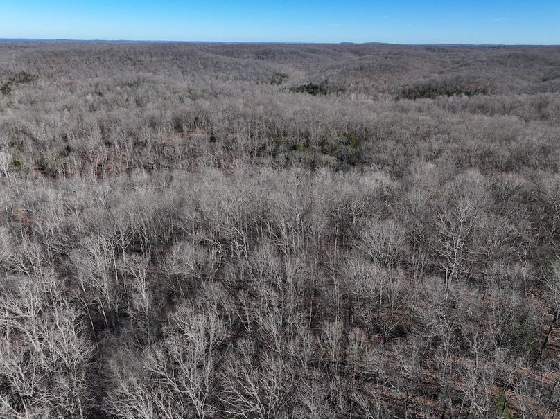 DJI_20251219113857_0888_D