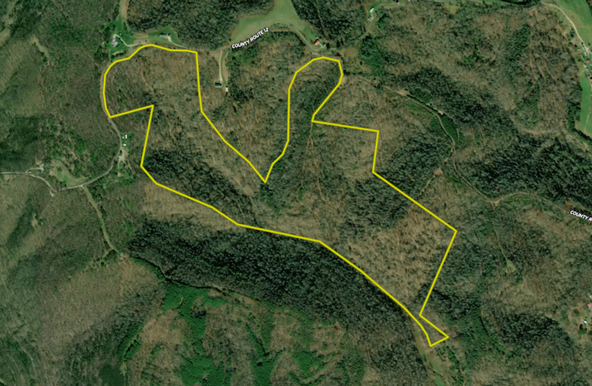 Screenshot 2026-01-22 at 9.33.31 AM