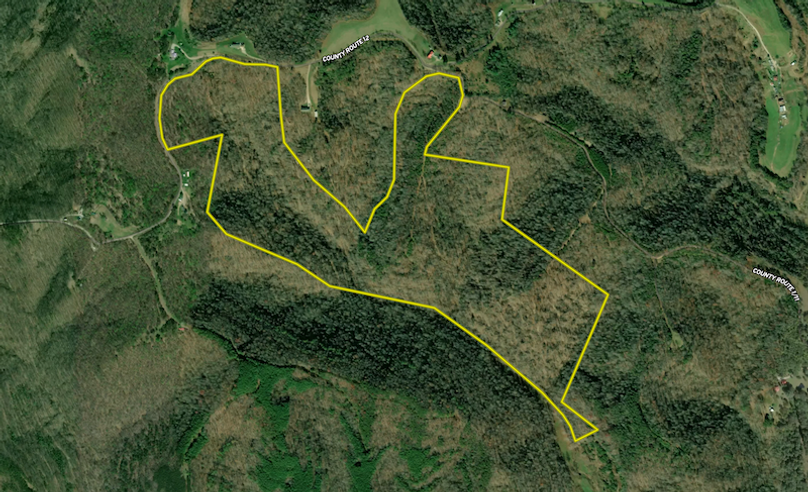 Screenshot 2026-01-22 at 9.33.31 AM