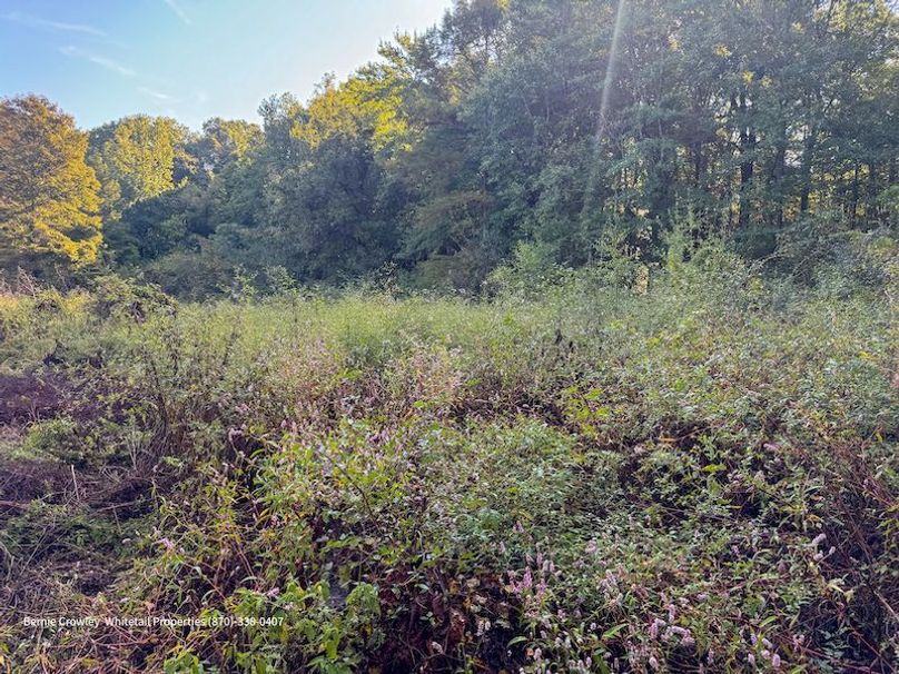 DeSoto 109 Prewett -41