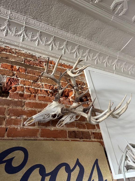Copy of Trailcam7