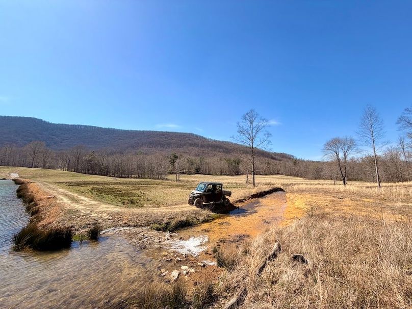 Morgan Co TN 310.833 Schneller_53