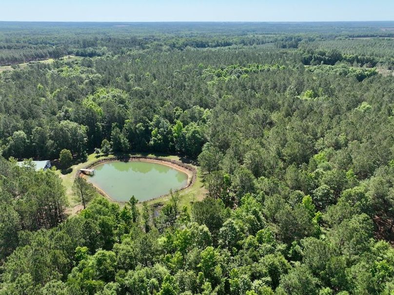 dji_fly_20260514_103352_707_1778769330700_photo