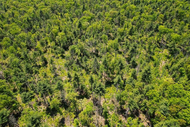 dji_fly_20250512_130740_983_1747069824740_photo
