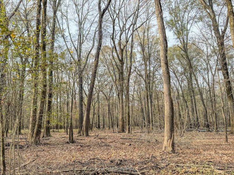 St. Francis 216.9 Calvin Parker Farms Profile -47