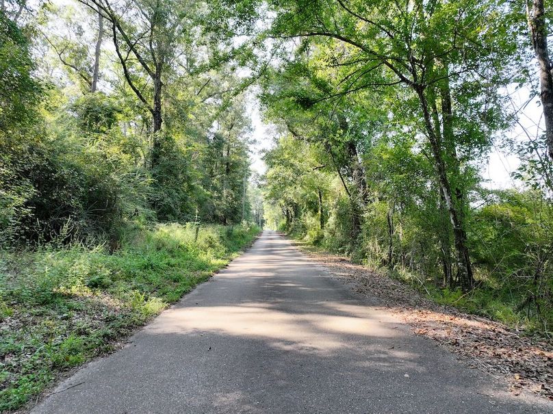 dji_fly_20250903_101234_0387_1757089046476_photo