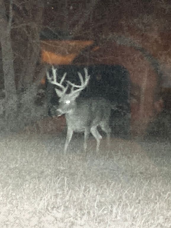 62552165258__1454AFED-0179-4D1B-9B9F-6A1659FCAD9D