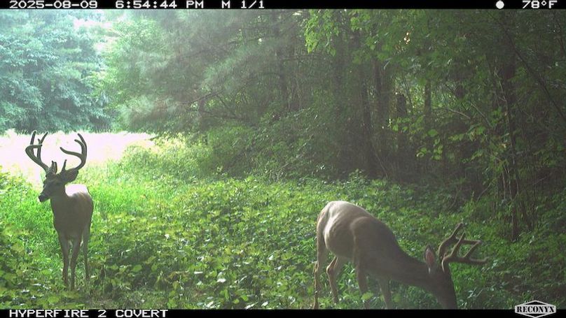 TwinStatesTrailCam03