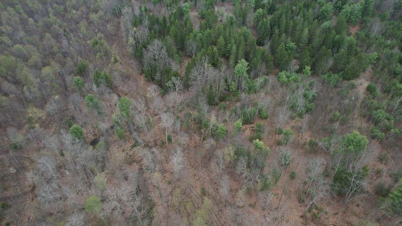 dji_fly_20260416_130248_249_1776359322685_photo