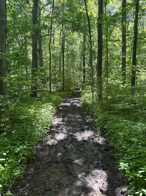 trail 13