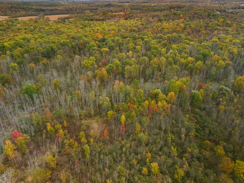 Wayne_29.09_BD_LandNorth_Parcel_13