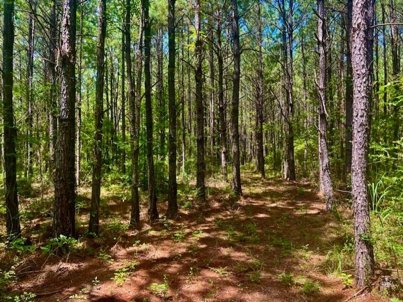 D17ED95F-7BBB-47D7-B8F5-696A56674E63_1_105_c