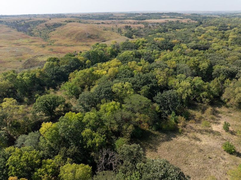 20240913-DJI_20240913105306_0113_D