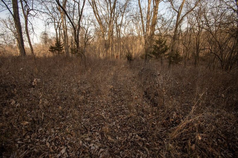 PAGE CO IA 130+_-_47