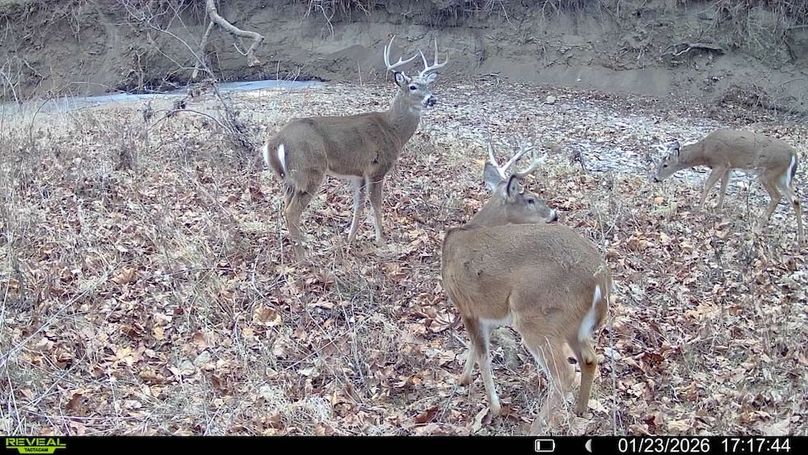 016579007563369-12-3-01232026171744-V-SYFW05879