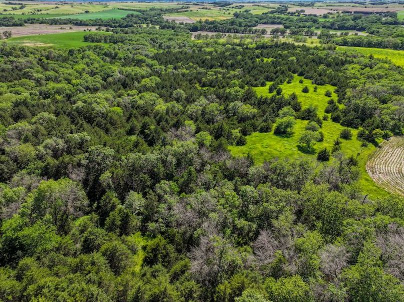 dji_fly_20240606_165100_0011_1717711228837_photo