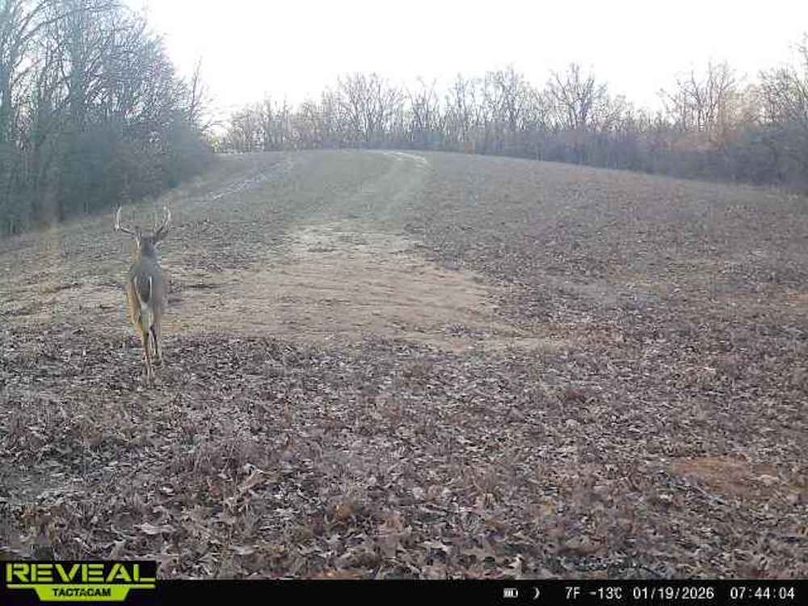 865814043110707-10-4-01192026074404-W1166076