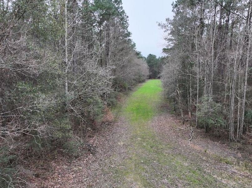 dji_fly_20260123_111942_0906_1769444791171_photo