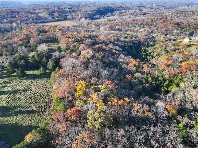 DJI_20251112080820_0874_D