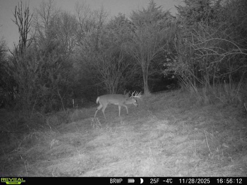 860322065924133-100-4-11282025165612-W1001385