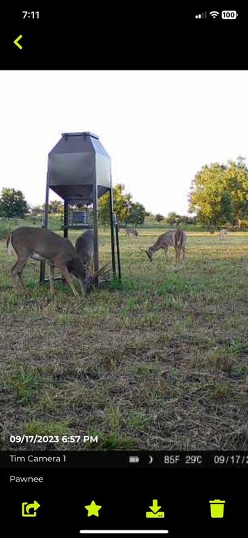 Screenshot 2023-09-17 at 7.11.58 PM