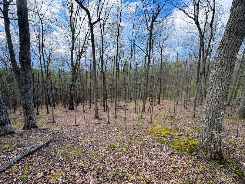 Calhoun, WV 132.84 AC Szegi 2-112