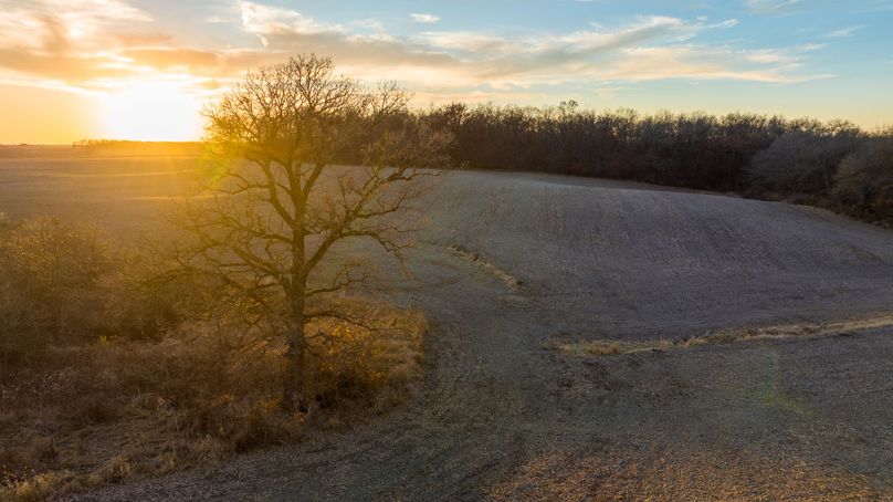 DJI_0764-HDR