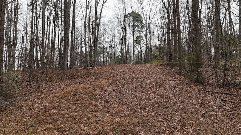 dji_fly_20260225_113910_0130_1772037649726_photo