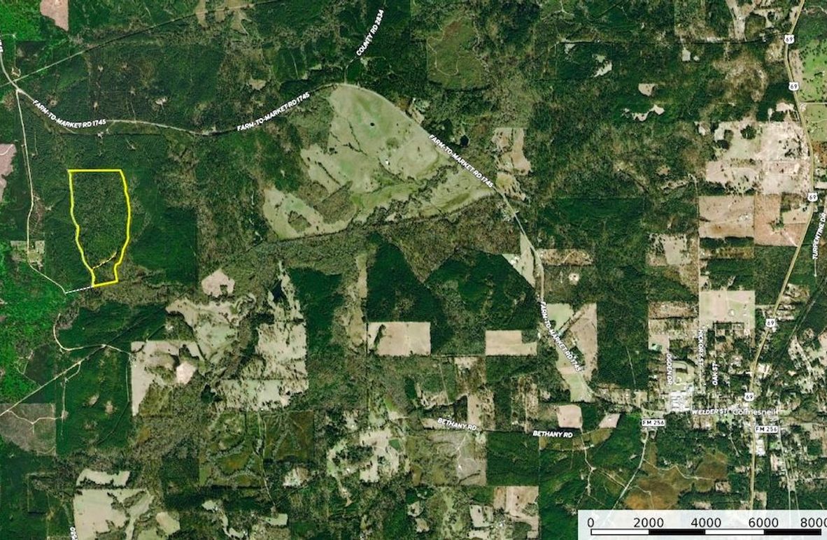 Screenshot 2025-05-02 084444