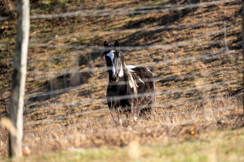 Screenshot 2025-11-14 at 12.08.05 PM