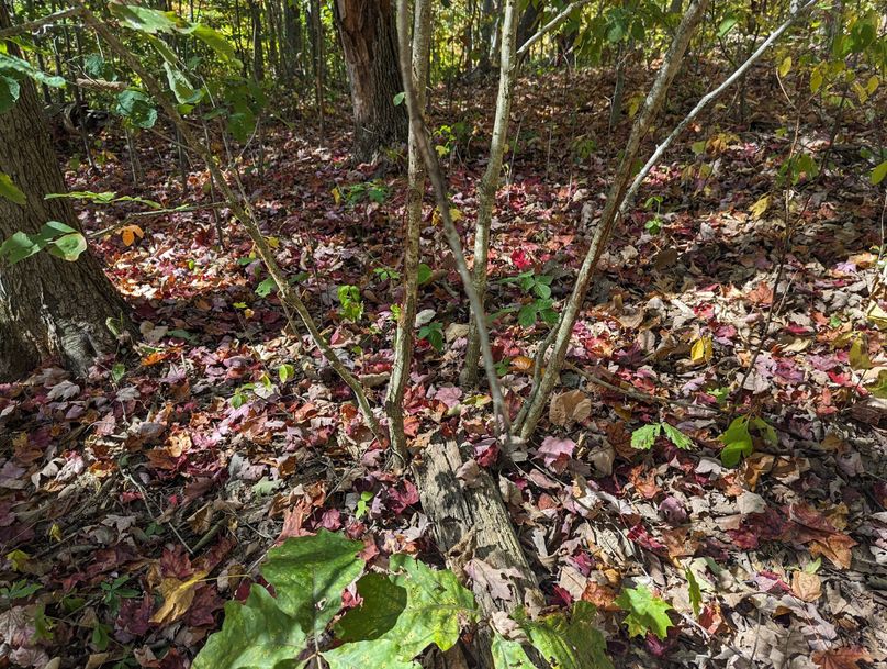 PXL_20231004_171026458