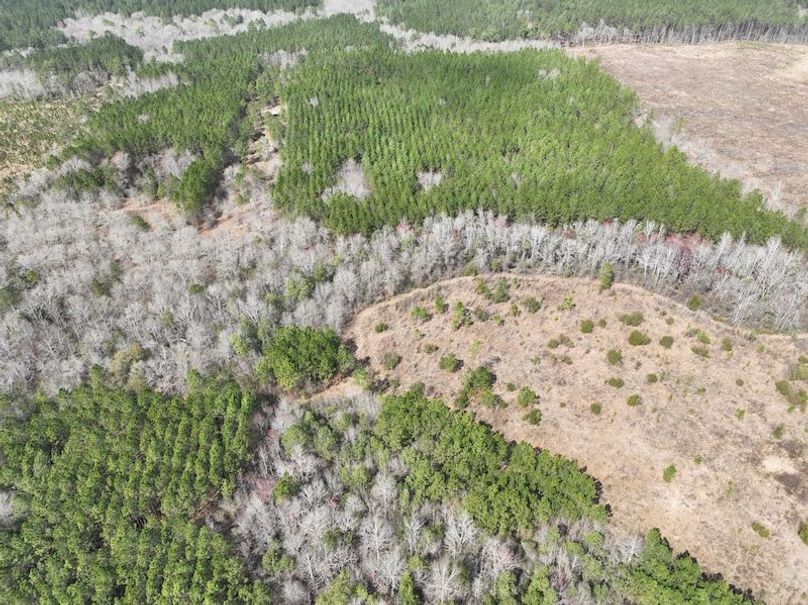 dji_fly_20240227_124704_135_1709056305256_photo
