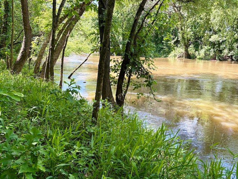 IMG_1081