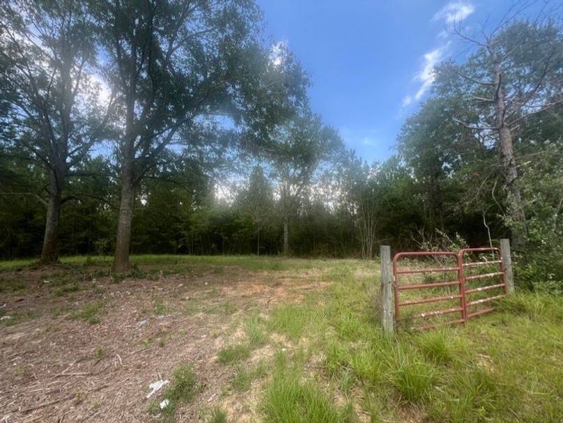 A36A0606-9330-4032-A725-BA0FAF17E2B2_1_105_c