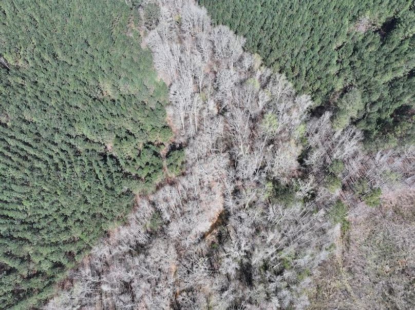 010AE - 257 Acres - Drone-21