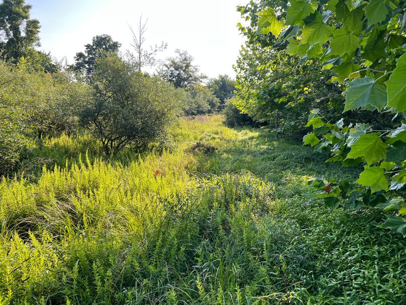 Wirt, WV 150.75 AC Tinnell-51