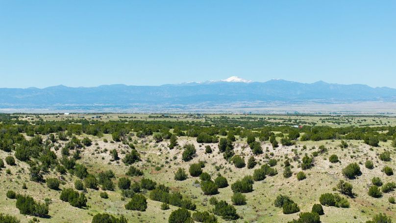 DJI_20240605161759_0008_D-HDR