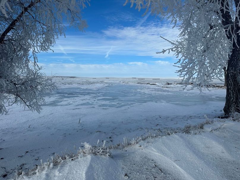 FF67DBDA-6845-43A7-80AA-EB518943C477_1_105_c