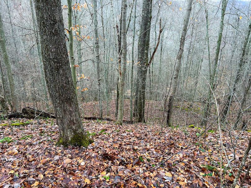 Calhoun, WV 225.69 AC Duffield-52