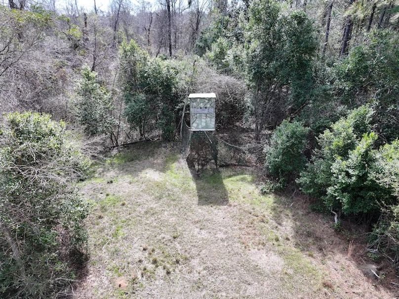 dji_fly_20260224_092812_0293_1772209079310_photo