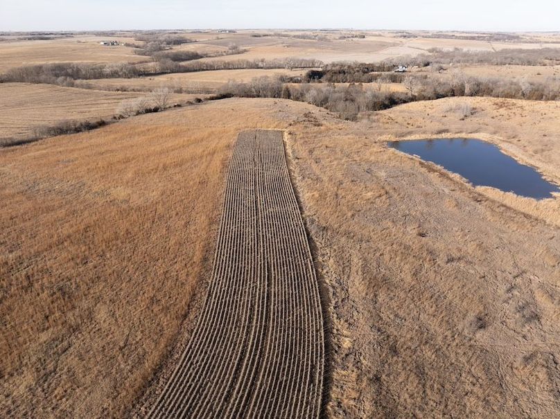 DJI_20260112144636_0559_D